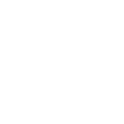 I Trovatori